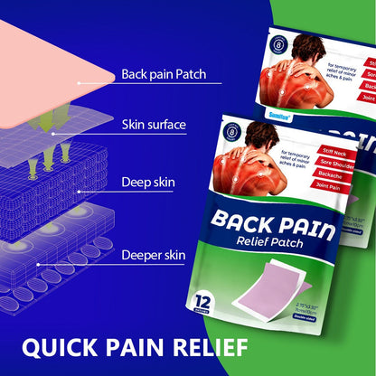Back pain relief patch packaging with diagram and text on a blue and green background